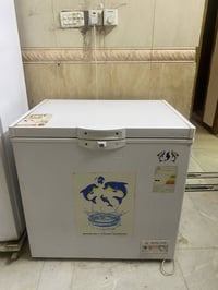 مجمدة • نظيفه • الكريعات