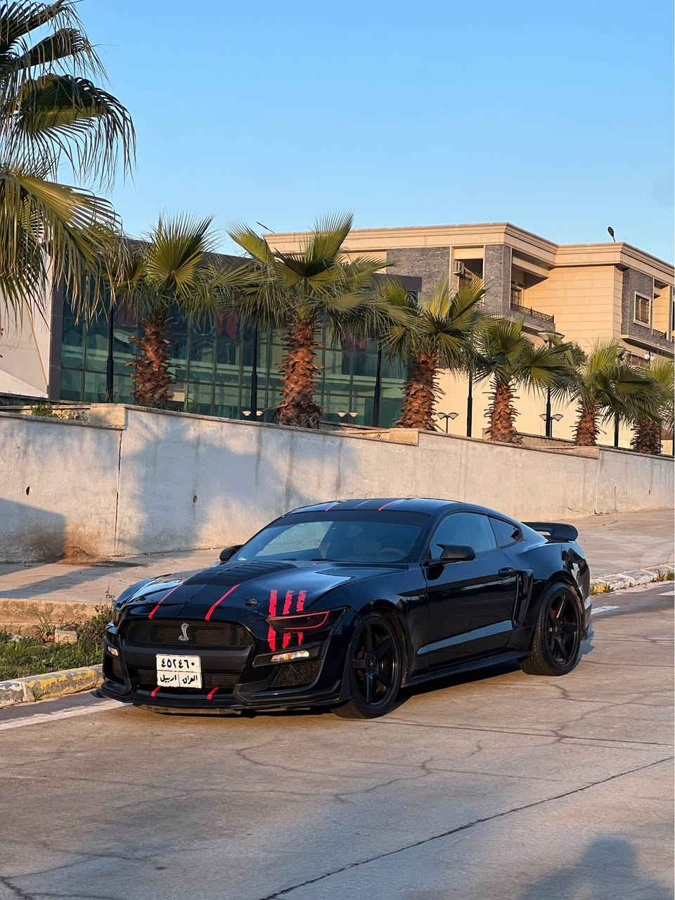 السلام عليكم 
بيع او مراوس
موستنك ستة سلندر 
‏Mustang 2016 V6
كير محرك اكسل شرط
صبغ بوند محدث واربع قطع ابيع حزام 
ايرباك دشبول مطاك 
ماشيه١٠٧ ميل
صدر امامي خلفي جديد
تبريد كهربائيات شرط
الاضافات
دعاميه شيلبي
لحية شيلبي
سبويلر جيتي 
كزوز روش دبات
دفيوزر 
داخل كاربون فايبر كامل حتى قعده مال تبريد كاربون فايبر
اناره داخليه الوان
 ويل ٢٠ فويسن يخبل
تايرات نظيفه
لايتات ليد احمر 
 كوشن كهربايي
كزوز رياضي فصله و طلاقات
سياره شرط مابيها مصرف نهائيه
رقم اربيل 
تحويل شرط باسم شركة 
مكان سياره دهوك
سعر 128$ وبي مجال بسيط 
للبيع او مراوس شمالي فقط
‏Watsapp *********** أربيل, العراق
