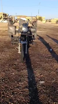 ستوته موديل 2011 • اوراق اصولي • الديوانية دغارة