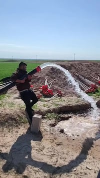 ٢٤-٢-٢٠٢٦ • ٤٠ حصان