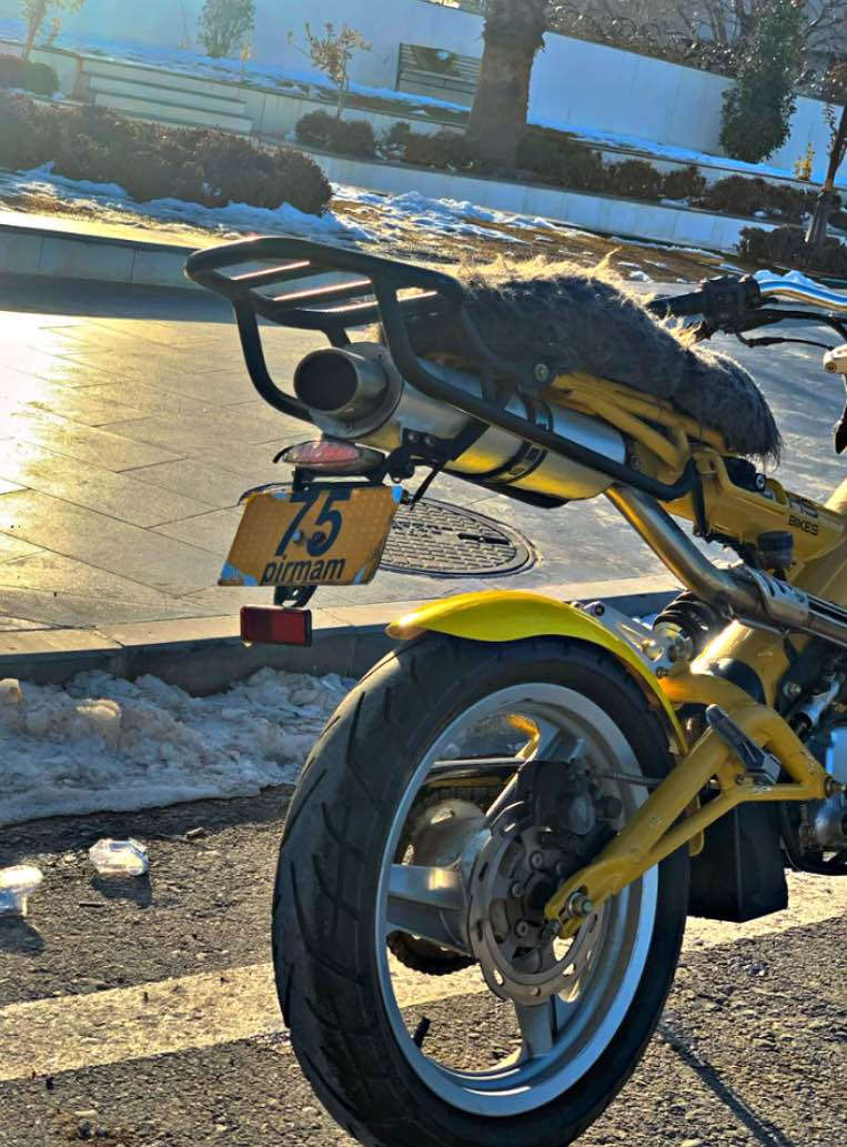 کاکە سلاو ئەو مانتورە بو فروشتن ئەوروپیە بە زەنیاری  زیاتر *********** أربيل, العراق
