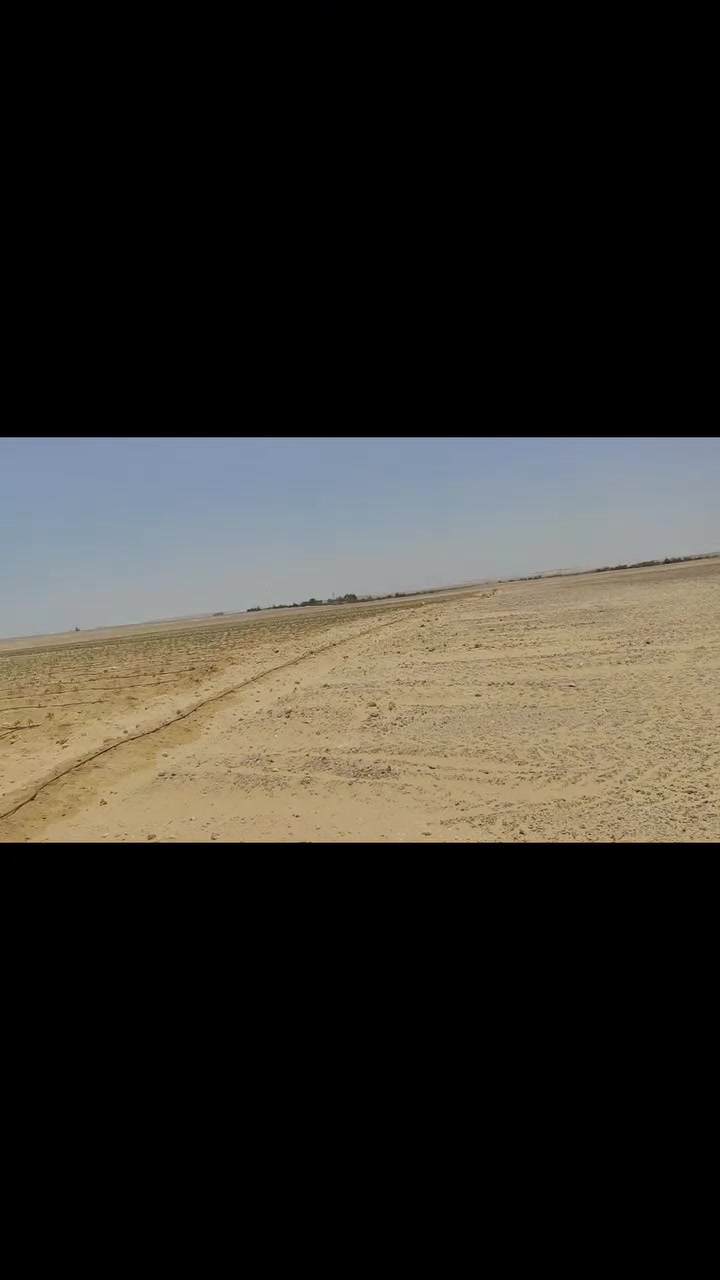 بسم الله الرحمن الرحيم 
يوجد لدينا مساحه 80فدان 
#المنيا 
#مطاي
#الكوثر
ع بعد 7كيلو
ارض فاضيه بكر 
يوجد بها بير 
الكهرباء قريبه منها  🌹هتستلم فيها طاقه شمسيه🌹
للتواصل 
01102720656


**إذا كنت صاحب هذا الإعلان وتريد حذفه لأي سبب، رجاءا أرسل رسالة إلى الدعم الفني**