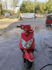 سكنس فحل يباني قبق نفخ إدراجه كفاله عامه نوزل السعر 1550 وبيها مجال بس...