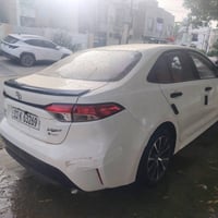 كورلا ٢٠٢٥ • مكفوله • بابل الإسكندرية