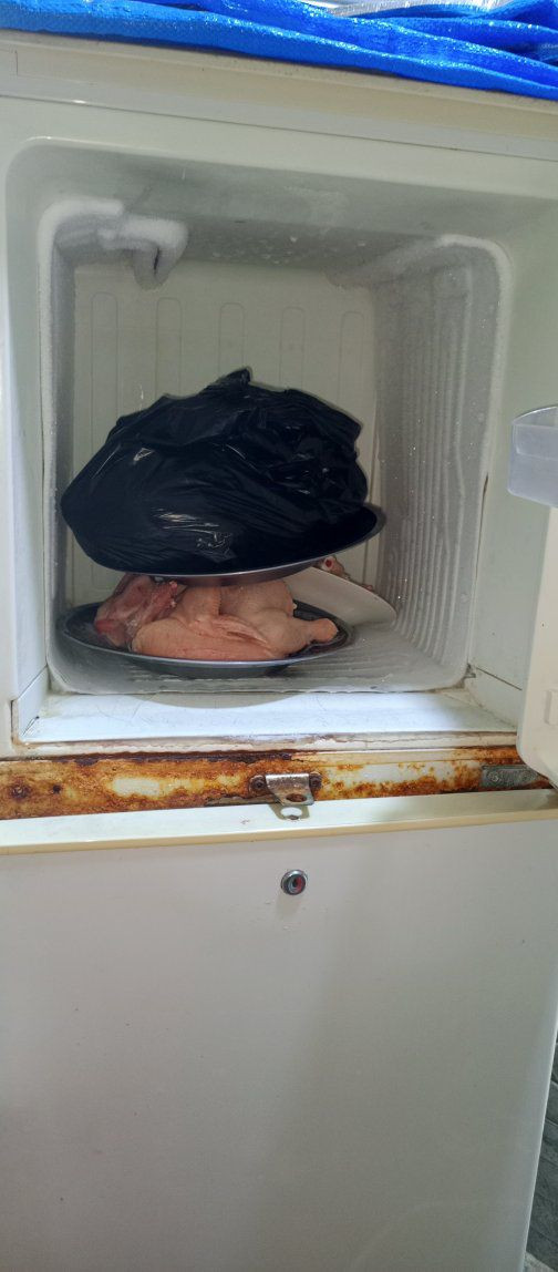 ثلاجه للبيع تجميد فول ماطور ضخم ب ١٥٠ اليريدها يدخل خاص


**إذا كنت صاحب هذا الإعلان وتريد حذفه لأي سبب، رجاءا أرسل رسالة إلى الدعم الفني**