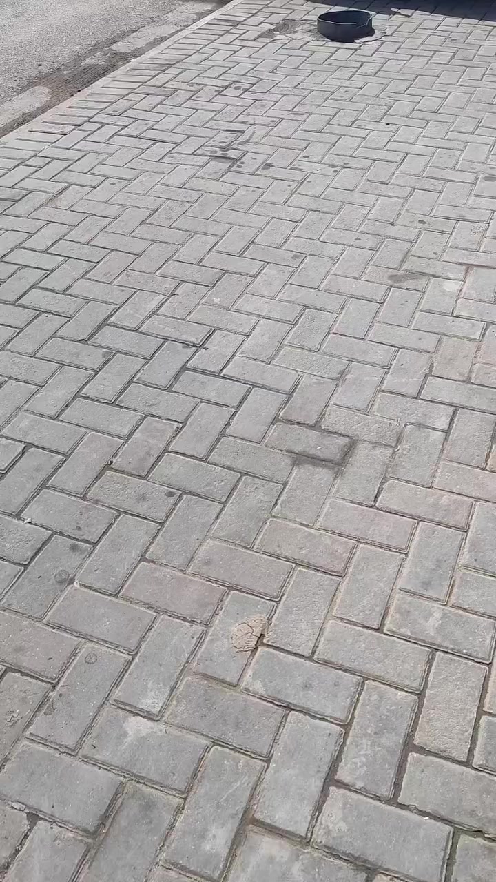 للاستفسار الاتصال على الرقم *********** 
اسعار جمله ومفرد
