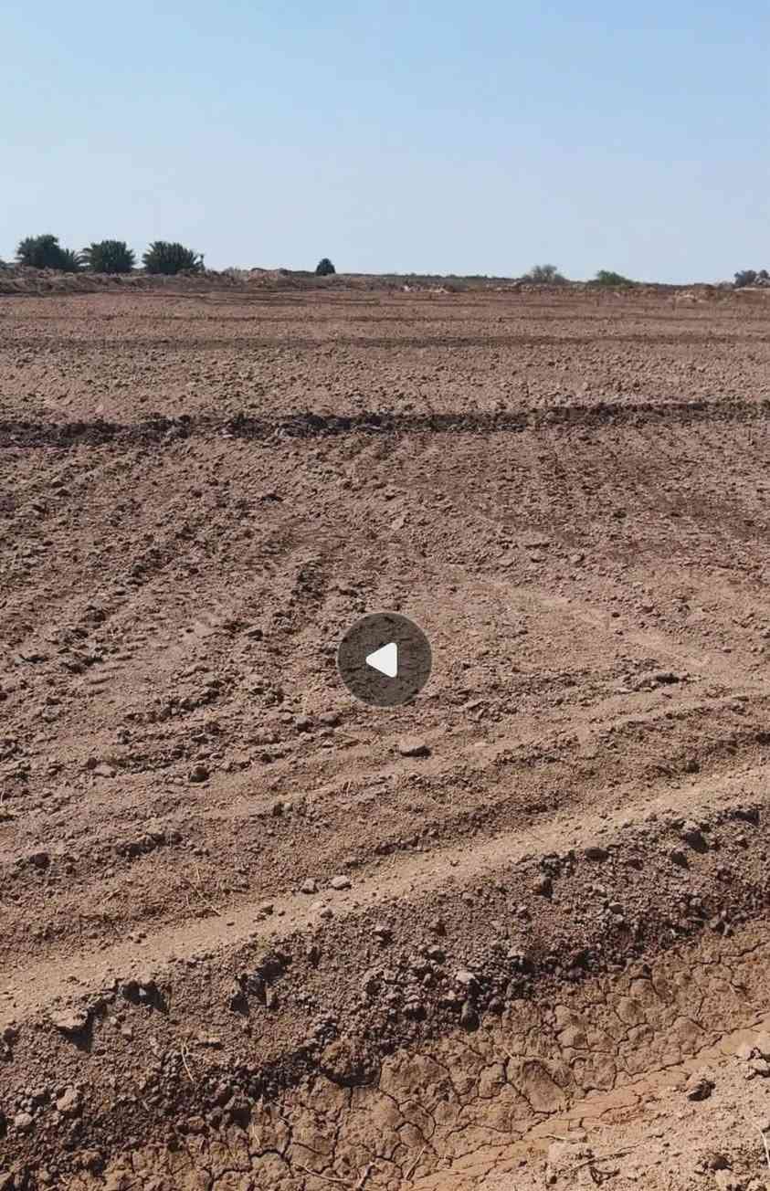 أرض زراعية للبيع 90 دونم طابو زراعي سند 25 بسمي مدوار ثاني يوم
صالحه للزراعه
الموقع محافظة الديوانية
مجاور دواجن خيري
اله طريقين من نزلت طريق ال عبيس
والثاني من السريع من يم باب دواجن الي عل سريع بمسافة كيلو
ماء سقي مباشر نهر بنص الكاع
وحافر بير بيه ماء دوم متروس
لتواصل ***********
