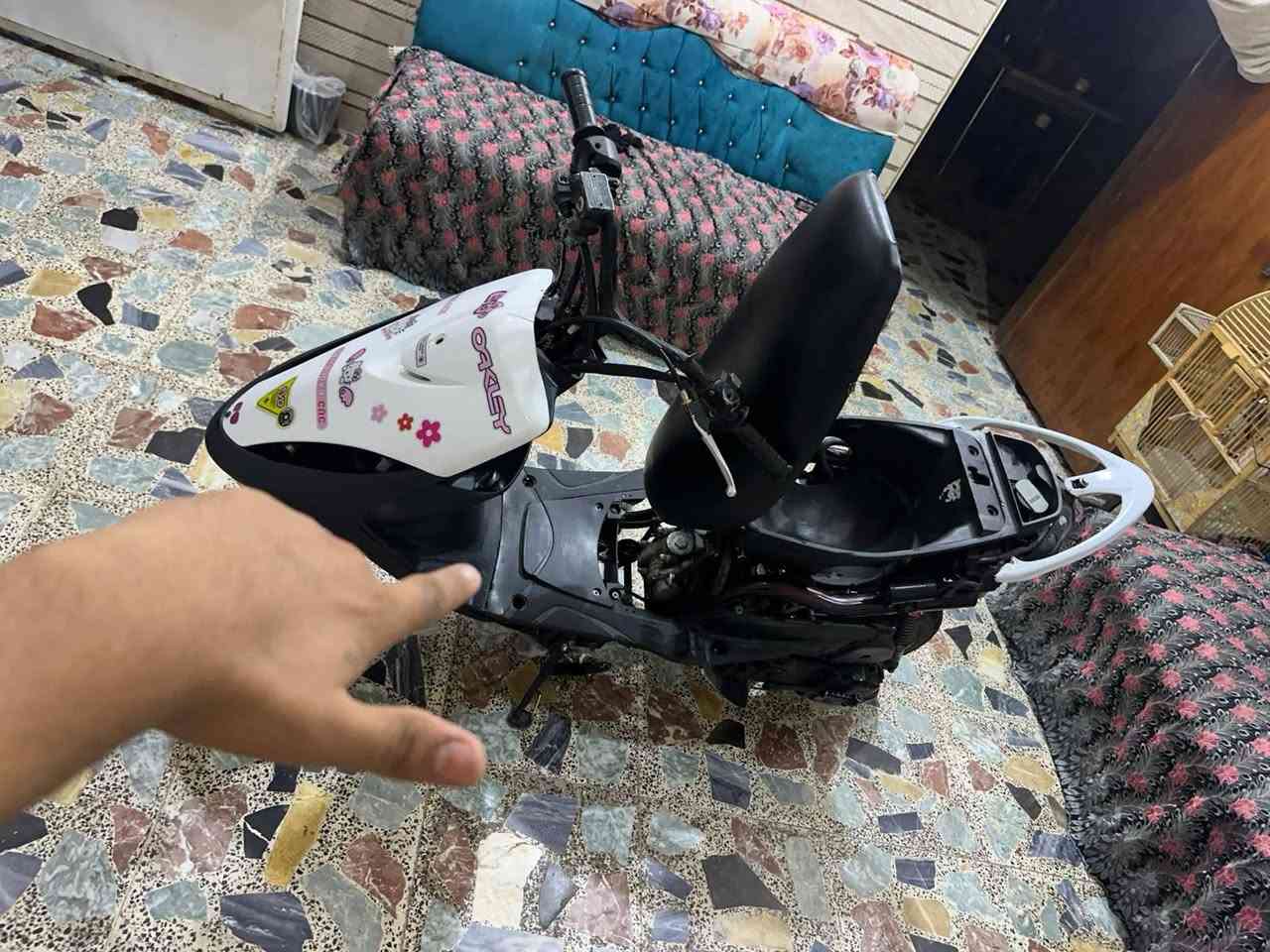 البيت.  سعر 300بيها مخلل وان بغداد. الشعب. دراخه ما بيرا.                       رقم ***********
