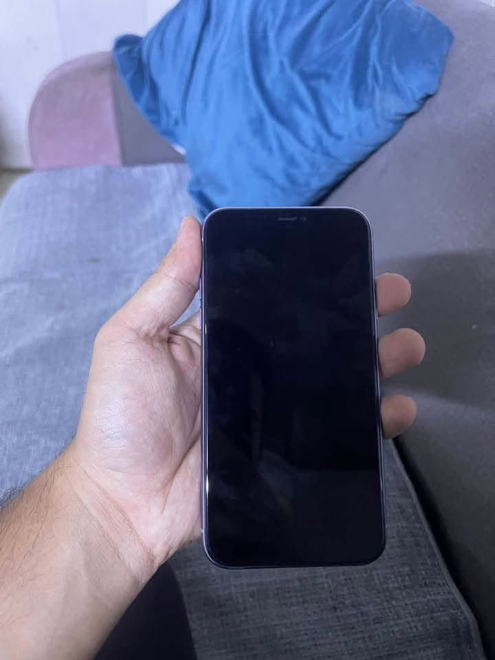 مبدل شاشه فقط
180 الف


**إذا كنت صاحب هذا الإعلان وتريد حذفه لأي سبب، رجاءا أرسل رسالة إلى الدعم الفني**