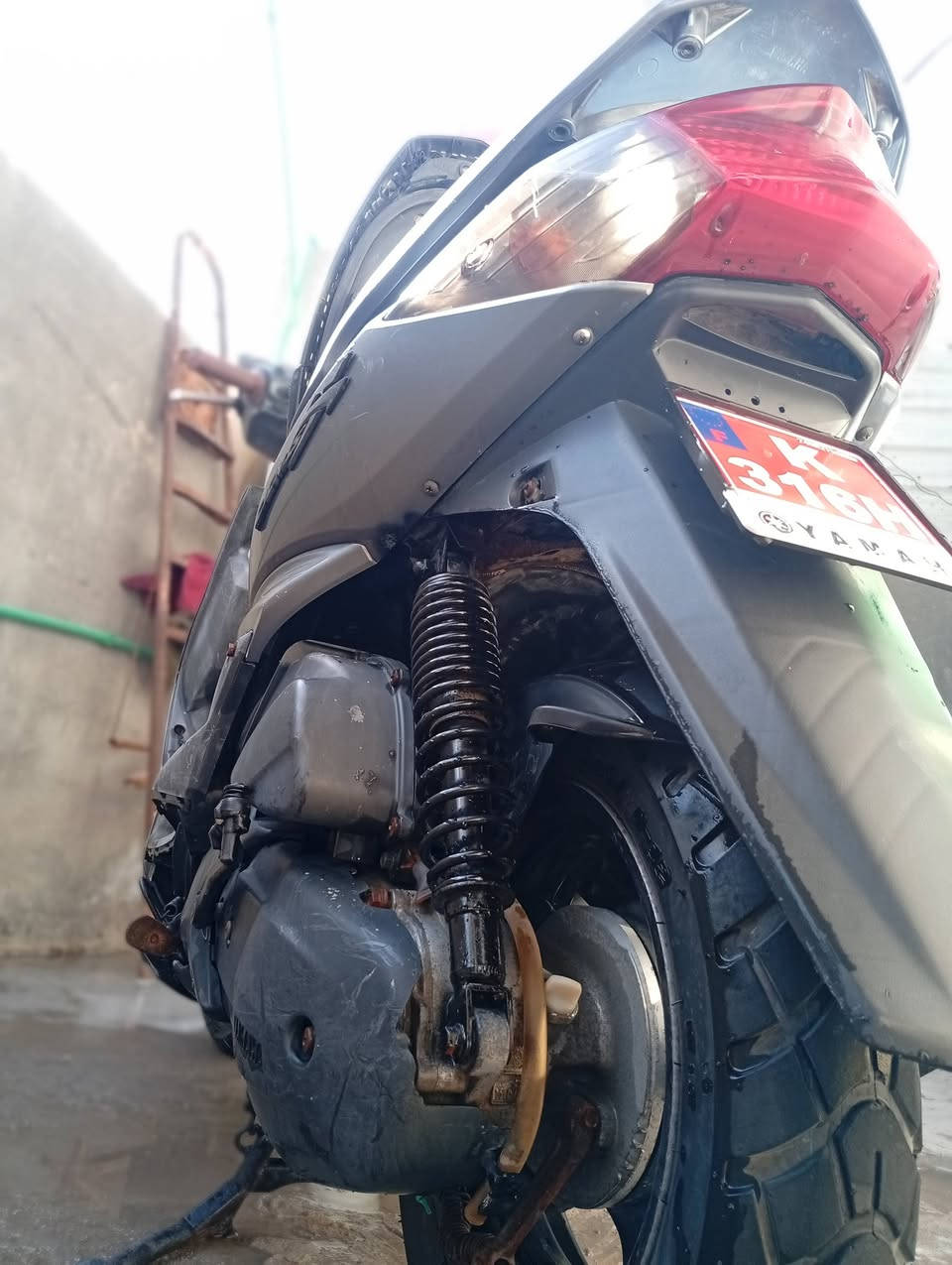 سلام عليكم
سكنس فحل لبيع مكينة ما مفتوحة كلشي شغال اشاير كلوبات سلف هندر لآيتات 
كفالة  السعر 800
رقم الهاتف ***********
عنواني بصرة
