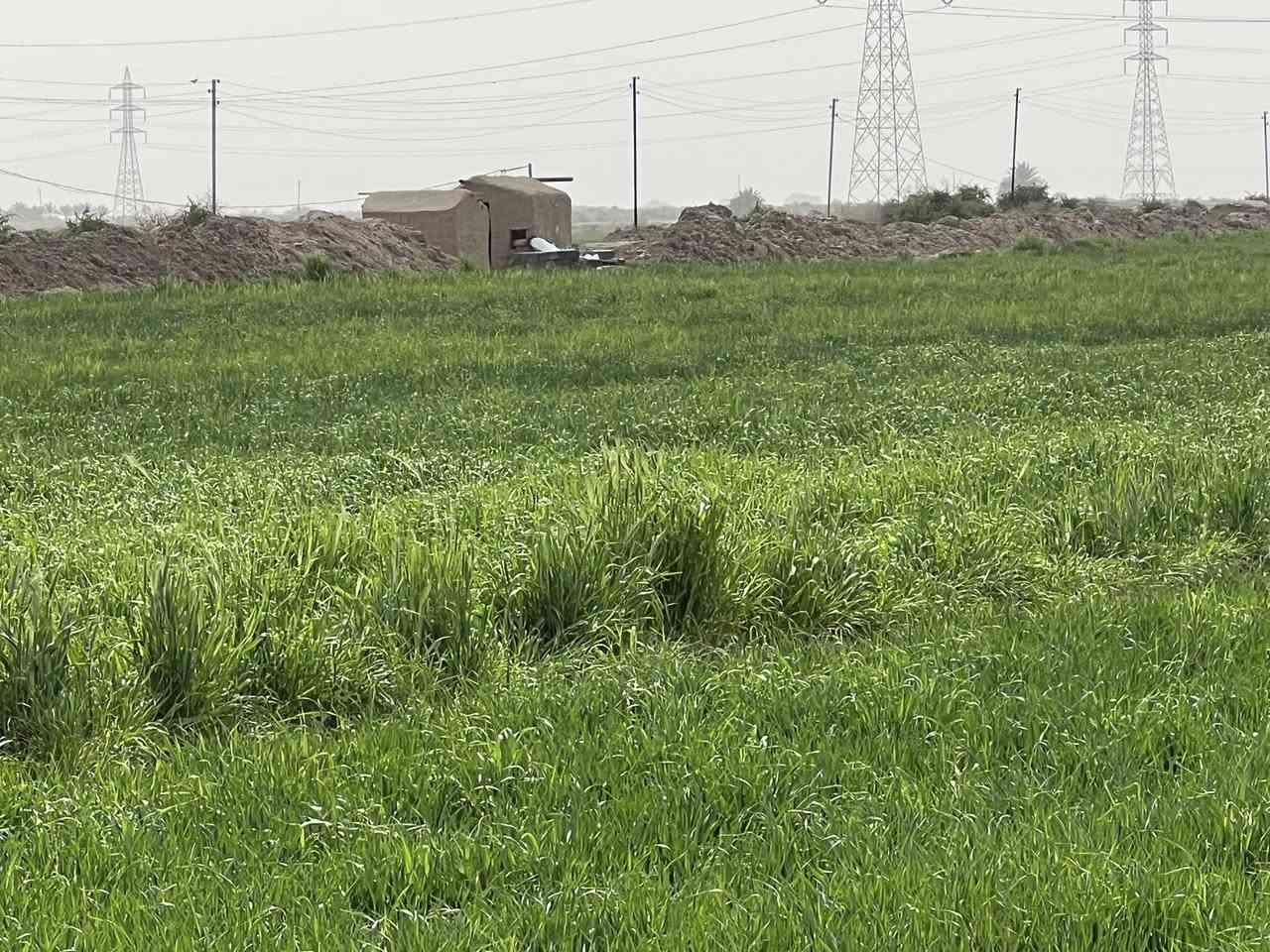 السلام عليكم ارض زراعيه
واسط / منطقه البسروكيه 20دونم عقد 35 الماطور بحلك الكاع متوفر ماء يمها شتاء وصيف مضخه كهربائيه  مثل ماموضح بلصور الاستفسار ع رقم ***********

/***********
