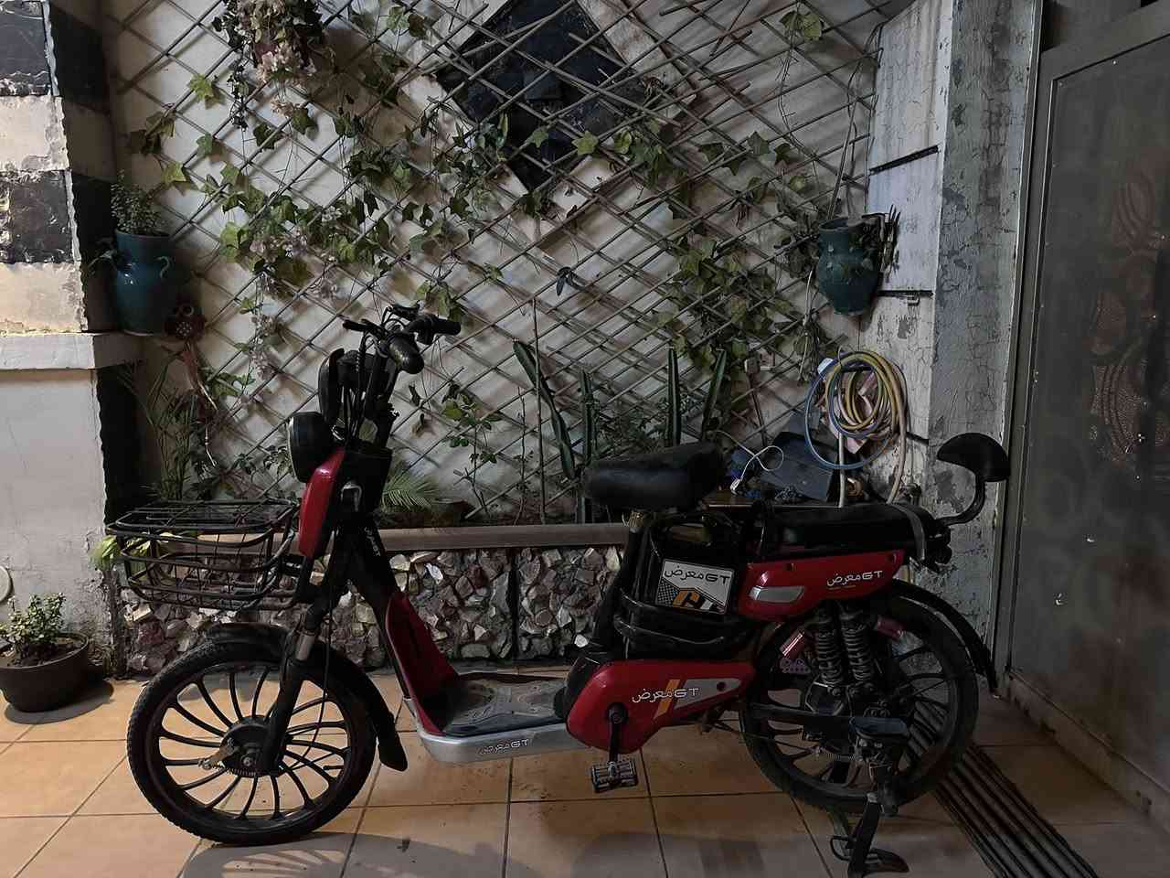سلام عليكم دراجه شحن للبيع الدراجه كلشي مابيها وعلى حطتها اي نقص مابيها الشاحنه مالتها موجوده كلشي موجود معروضه 
400 وبيها مجال ولحد يكسر بلسعر فدوه اروحلكم مكاني بغداد *********** و٣ نمر الدراجه وسرعتها الحد الاقصى 40 موديل 2025
