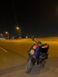 سكنس جبلي • جبلي