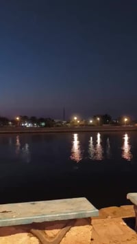 سونك • ٢٠٢٥ • اوراق