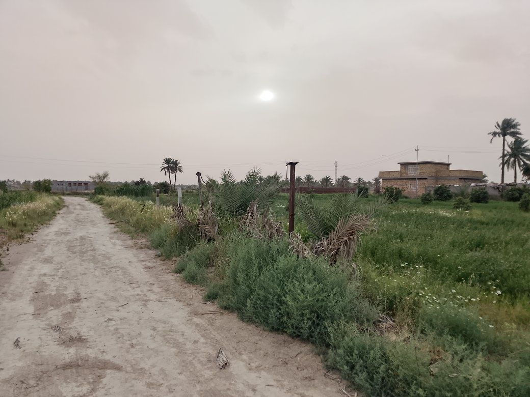 السلام عليكم يوجد لدينا دونم للبيع طابو زراعي سند 25 المكان بابل خلف مقام نبي الله ابراهيم الخليل ع الخدمات واحد على واحد السكن امامكم الاستفسار***********
