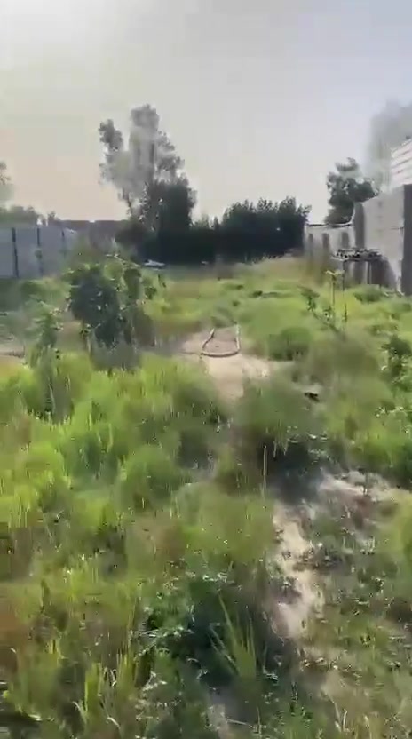 سلام عليكم عيد نشر بسسب العود كاذبه قطعت أرض البيع الواجه 12ونسال 52 قطعه وجهين تنباع نص وتنباع كامله طابو زراعي سند 25سعر مناسب جدا مستعجل علا بيعته ***********نتصل وتددل العنوان واضح بلفيديو
