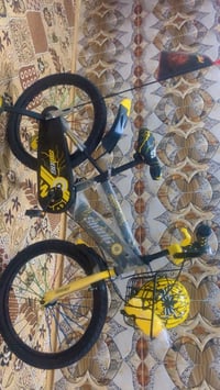 حجم 20 • بالكرتون • جبتها من لبنان