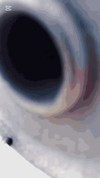 موديل ٢٠٢٦ • سرعة ١٢٠ • نضافة ١٠٠/١٠٠