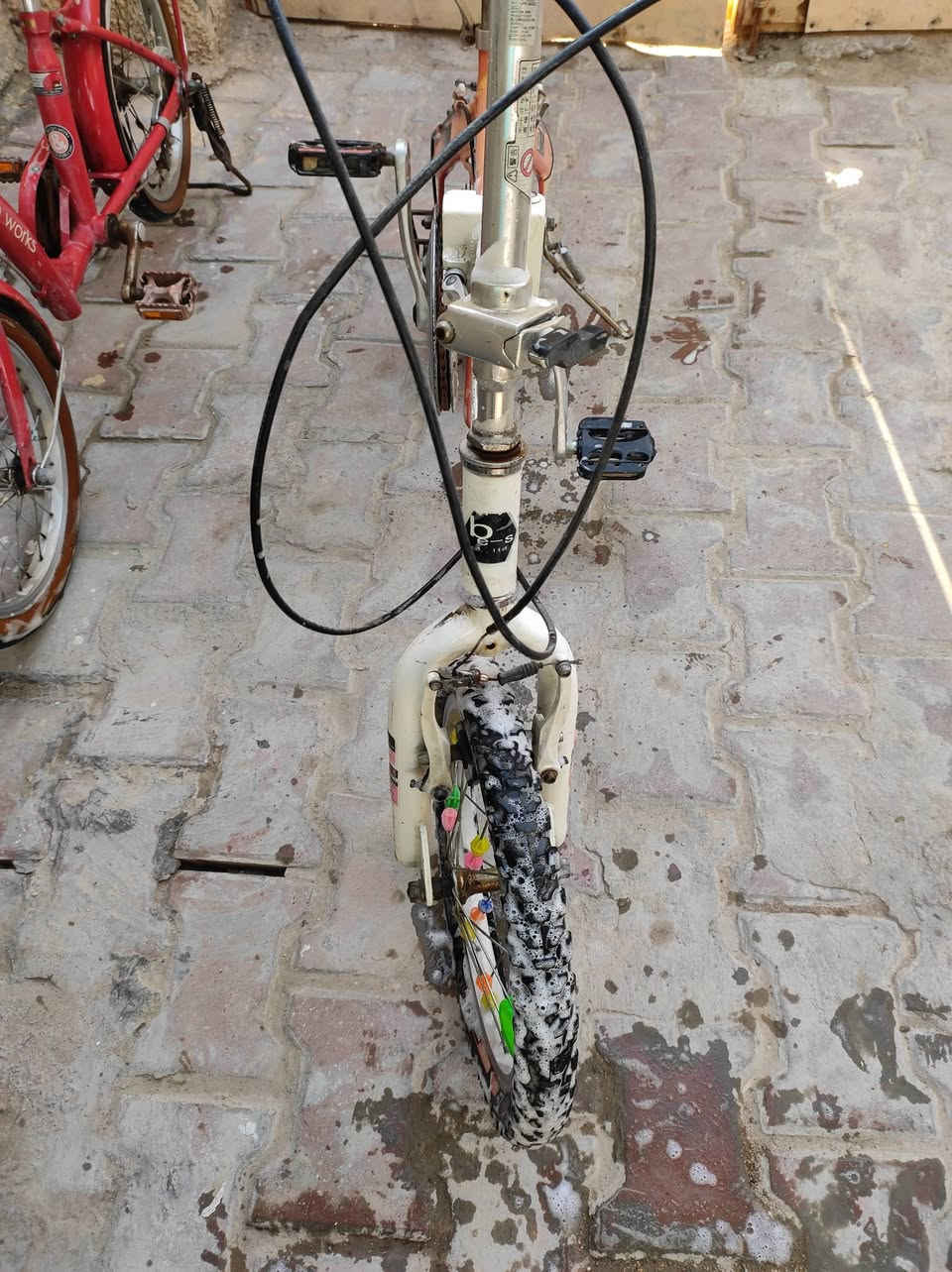 كويتي حجم ١٦ ابيعهن اثنينهن بسعر مناسب *********** 

بصره جبيله
