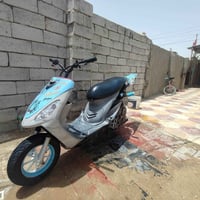 منغولي • نضيفه • سلف