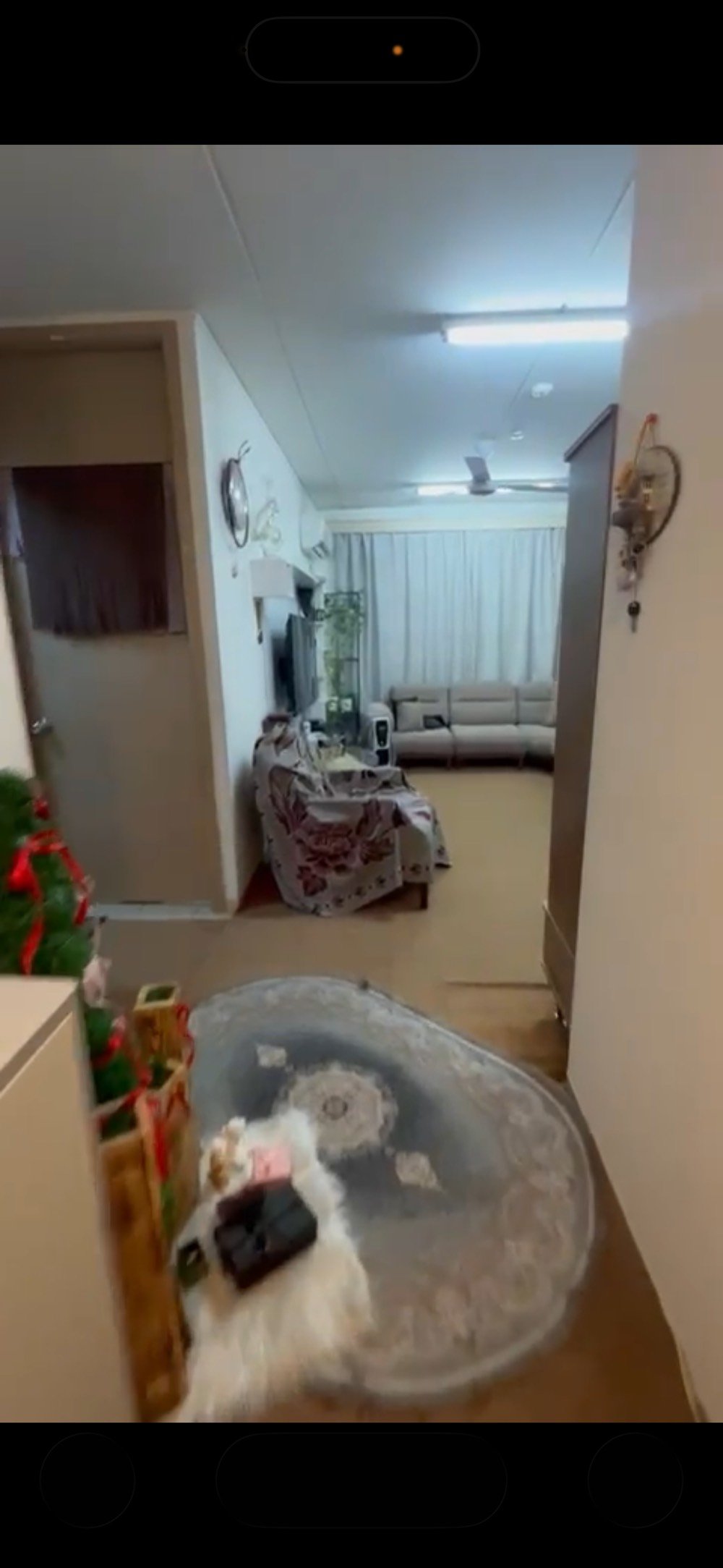 للبيع شقة في مجمع بسماية 
مساحة100م نمط غربي تحتوي على 3 غرف +صالة + مطبخ +مخزن +حمام شرقي وغربي + بلكونة شقة تباع بنضام الكاش تحويل بسمك مباشر الشقة طابق 6 