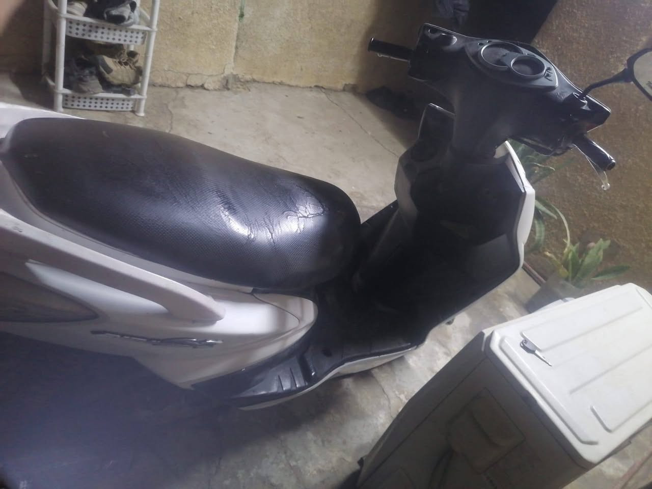 سلام عليكم دراجه سكنس فحل للبيع دراجه بلادي ما مفتوح
المكان البياع حي العامل

الاتصال على الرقم ***********

السعر 600 وبيه مجال
