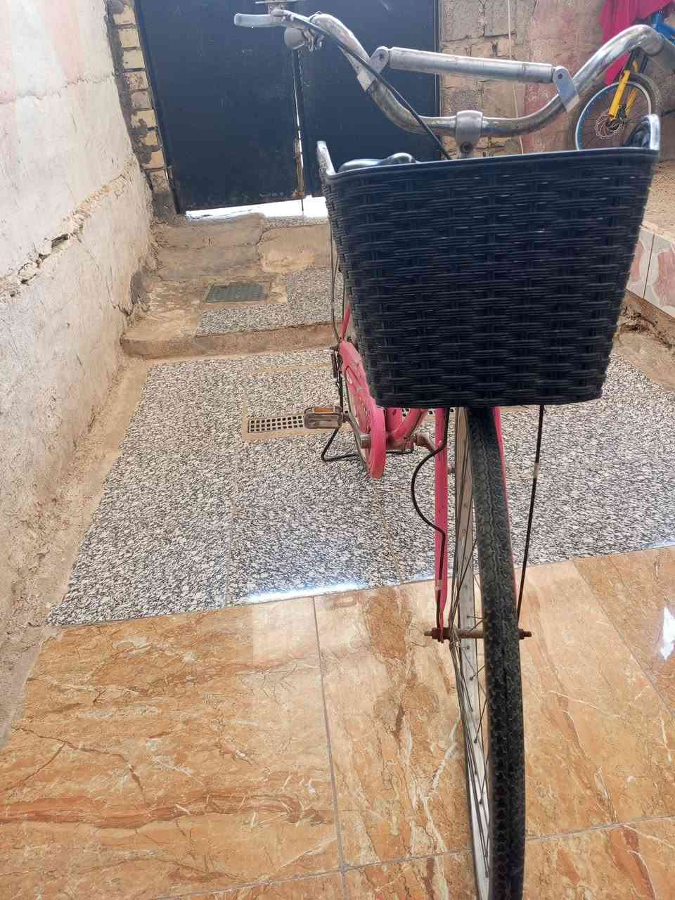 السلام عليكم بايسكل للبيع
حجم 27 بطه كلشي ما ناقصه 
بايسكل كامل من كل النواحي 
سله بريكات اثنين النظافة 100/100
السعر 40 وبي مجال 
العنوان المحوديه حي الموضفين خلف عماره الدكتور محمد العبادي


**إذا كنت صاحب هذا الإعلان وتريد حذفه لأي سبب، رجاءا أرسل رسالة إلى الدعم الفني**