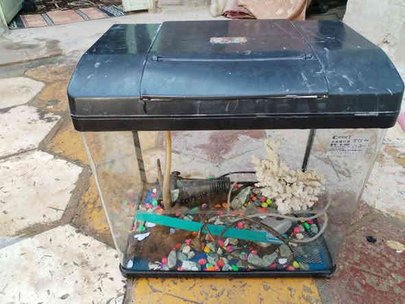 لام عليكم شباب.؟ حوض 📦مال سمج رتفاعه 47س وعرضه 47س  لبيع مستخدم اخو جديد شوفت عينك نضافه هوى وغراضه كلهن غطاس وحجر وكل غراضه وياه الله شاهد جانت سمجه بيه وماتت وريد هسه ابيعه ليريده يتواصل وياي او على رقم لام عليكم شباب.؟ قفص صندوق 📦مال سمج لبيع مستخدم اخو جديد شوفت عينك نضافه هوى وغراضه كلهن غطاس وحجر وكل غراضه وياه الله شاهد جانت سمجه بيه وماتت وريد هسه ابيعه ليريده يتواصل وياي او على رقم ***********
