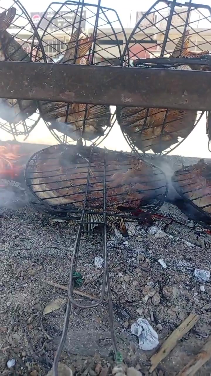 اطلب الآن ***********
عشاق السمك 🐟المسكوف ياب😌
الطعم الاصلي
على طريقة البغدادية 
يوجد سمك حي تازه ٥٥٠٠
تقطيع تقشير مجاني جاهز للقلي بعد شتريدون 
مستعدون للتجهيز المناسبات
 بسمايه 📍 الشارع العام 
يوجد دجاج حي عراقي ٣٥٠٠  ومقطع افخاد صدر اجنحه اكباد فريش، نظافه فوول امانه في الوزن

متوفر دجاج شوي بالتنور العراقي
لحجز خاص أو مراسله الرقم 
***********
