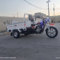 شايننج • ٢٠٢٤