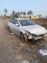 مصدوم • ٢٠٢٥ • الدوره