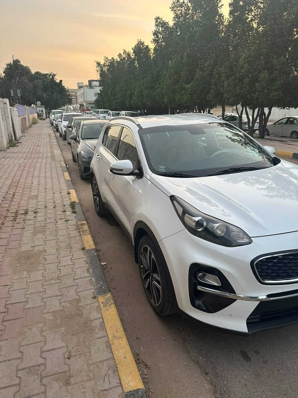 سبورتج 19 مكفولة
مراوس سورنتو 18. 19. 20
مكلف بالنشر
رقم صاحبها
 ***********
