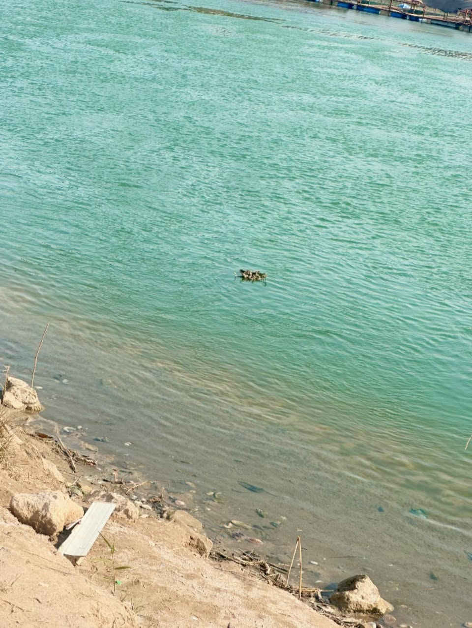 🔅 قطعه للــــــبـيــع  شاطيه🔅🔆
⚜️ المســــاحة⚜️5000متر  دونمين طـابــو  زراعي سند 25 🪐

⚜️ العنــــوان ⚜️  المحاويل  // قريه البوعلوان 

🔆  الــتـــفـــــاصـيــــل  🔆

⚜️الــواجـهـــة : 50 متر  تبليط 

النــــــــــــــزال  100 متر شط 

تبعد القطعه عن شارع حله بغداد  كيلوين فقط 

السعر خاص 

⚜️⚜️⚜️⚜️⚜️⚜️⚜️        

((للاستفســار مراجعـة  المكتب المحامي علي راجي العلواني الكائن في حي 17او الأتصال على الأرقام.🟡🟡📞📞📞♾

*********** 🔆📞

***********
