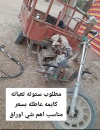 ستوته • اوراق • تعبانه