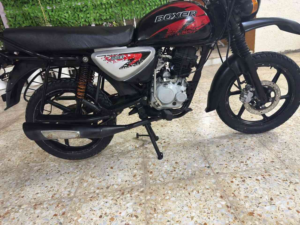 السلام عليكم بوكسر جبلي موديل 23 مجفته شركه مستعجل عل بيعته مابيه اي نقص سعر مليون 200 بيه مجال للشراي ***********
