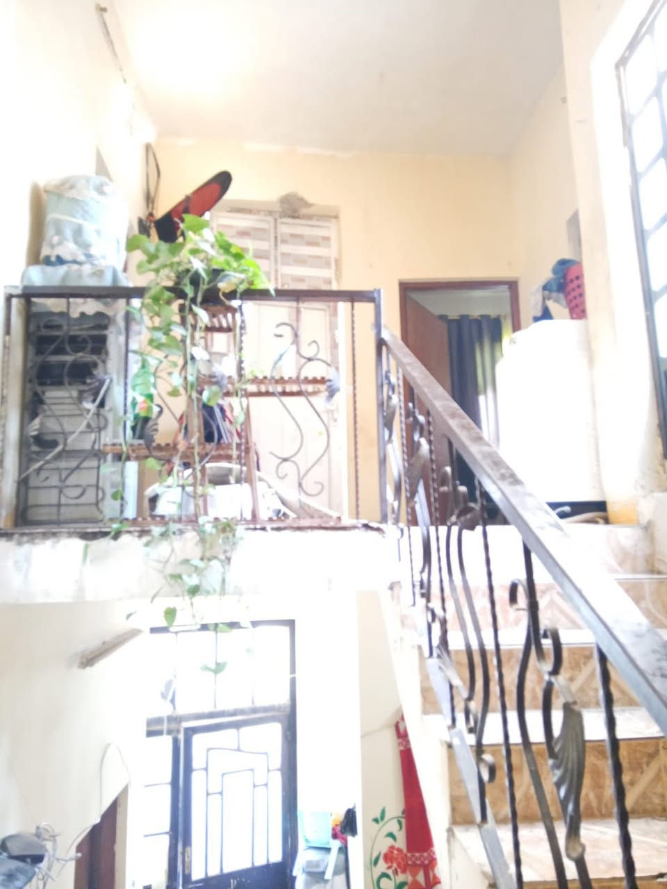 دار.  ركن.  طابقين.    للبيع.   100 متر 

  ديوم.    مربع.  ثاني. 

ماجر.  حالين.  بيت. زين.  نص. عمر 
 سعر 65.  بي مجال 

منطقة. راقية. الذهبية.   قريبا من مدارس. والسوك.  100 متر عنها 

الاستفسار.   

***********

عقارات تكريت ليث المعماري@
