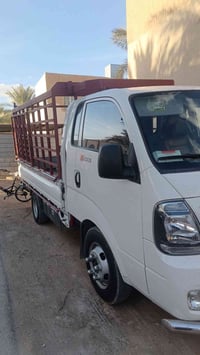 حمل • اربيل • فحل