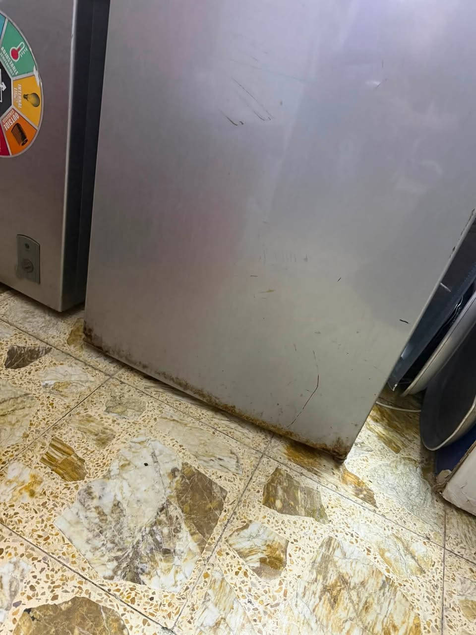 ثلاجة ومجمدة ماركة فزتل شغالات ع فحص وكاونتر للبيع مكاني قريب البياع اكو توصيل


**إذا كنت صاحب هذا الإعلان وتريد حذفه لأي سبب، رجاءا أرسل رسالة إلى الدعم الفني**