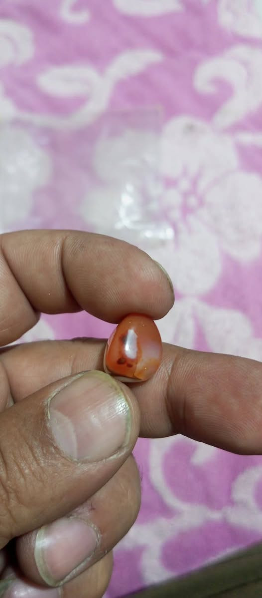 للبيع ومراوس تواصل خاص مكاني كربلاء


**إذا كنت صاحب هذا الإعلان وتريد حذفه لأي سبب، رجاءا أرسل رسالة إلى الدعم الفني**