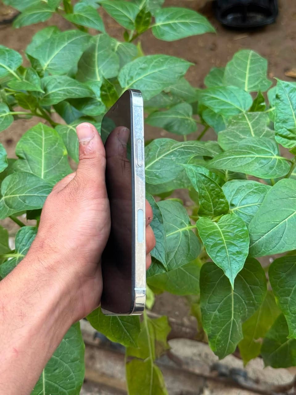 ايفون 12 برو (فقط)
ذاكره 💾128
بطاريه 🔋 100 مبدله قطارة
مبدل شاشه + السيمكرت مايشتغل
النظافة كدام العين
السعر 190 وبي مجال والشراي يتفضل خاص


**إذا كنت صاحب هذا الإعلان وتريد حذفه لأي سبب، رجاءا أرسل رسالة إلى الدعم الفني**