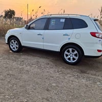 سنتافي • ٢٠١١ • دخول جديد