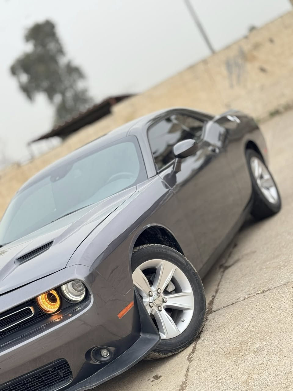 دوج جارنجر 2023 لون نفطي مواصفات sxt
ضررها جاملغ يسار وربع بنيد شرط بدون اي داخل وشاصي
سيارة نصبتها حلوه وجديده ونضرتها بعد احلا
مواصفاتها معروفه 
محرك v6  (3600)
شاشة وسطية تدعم ابل كار بلي واندرويد اوتو 
تحكم ستيرن كامل
كامرة دوارة 
قطتعتين تبريد
كرسي كهرباء 
سستم صوت alpine
هيتر بلمرايا
بصمة دخول ابواب 
وباقي مواصفات المعروفة 
سيارة كاتي تترقم شمالي 
السعر 176 $  وبيها مجال للطيبين
مكانها موصل
تواصل على رقمي ***********
