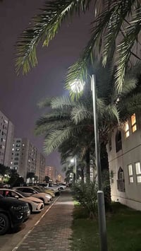 موظفة • بدون خبرة • مجمع بسماية