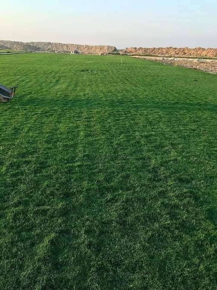 هندي فرنسي وايطالى للبيع توصيل كافت محافظات مع كادر عمل فرش وتأسيس مرشات بأنواعها ***********
