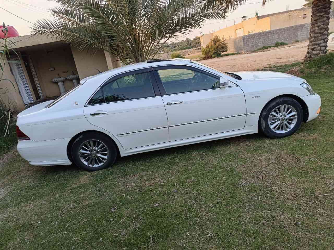 شاهينه للبيع صدفيه فول واحد على واحد كفاله عامه رقم بغداد بسمي السعر ١٢٥ قفل مكان طوريج ***********
