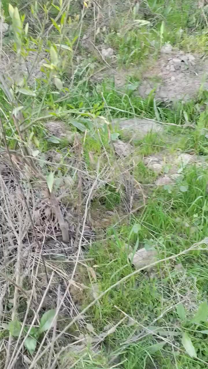 سلام عليكم ورحمه الله...للتواصل ***********
