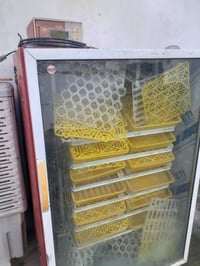 فقاسه للبيع ام 1000 بيضه الاتصال ع رقم 07703771105