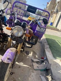 دايوان بومة • موديل 2021 • مرقم انكليزي