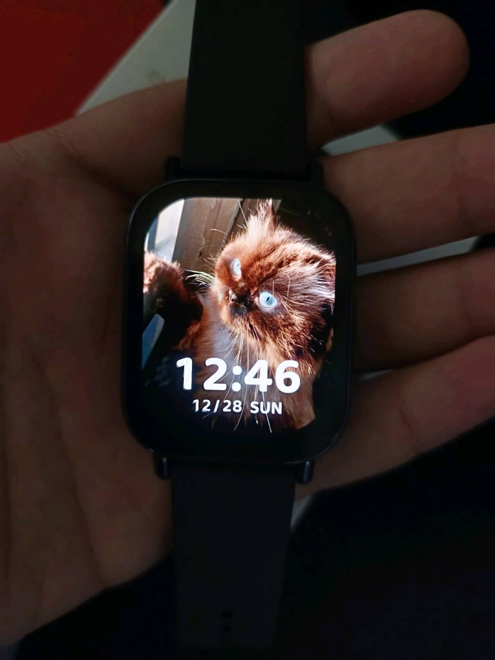 ساعه شاومي واتش 5 لايت 
ابحث عن مواصفاتها بالنت 
ضمان 6 اشهر 
استخدام مره وحده