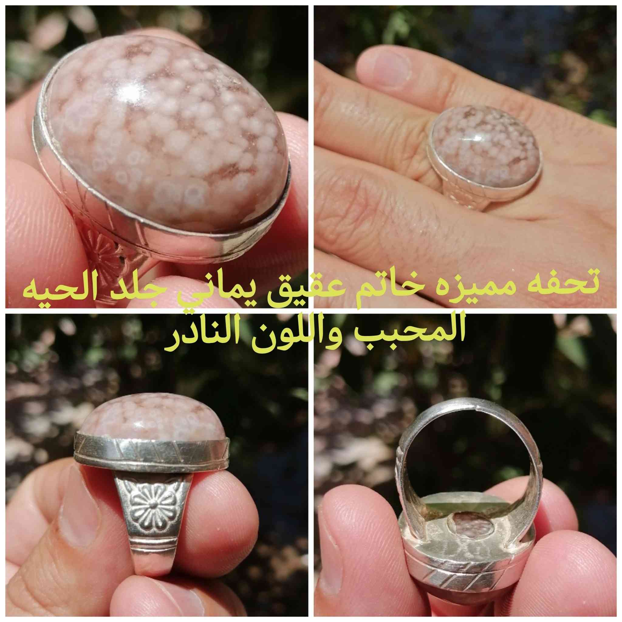 خواتم اصليه امانة الله ورسوله للبيع


**إذا كنت صاحب هذا الإعلان وتريد حذفه لأي سبب، رجاءا أرسل رسالة إلى الدعم الفني**